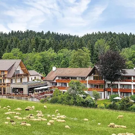 Hotel Grüner Wald 4*
