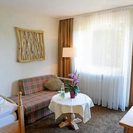 Hotel Grüner Wald 4*