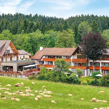 Gruener Wald Отель 4*
