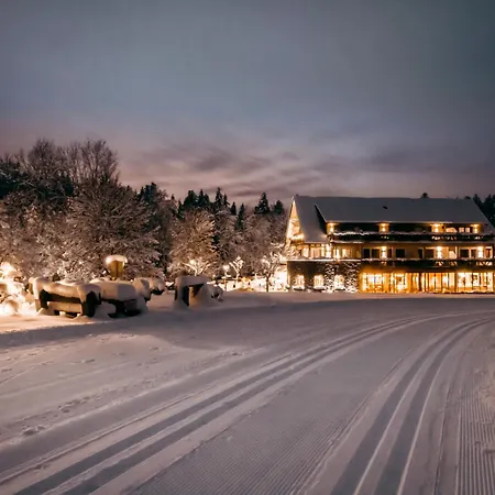 Hotel Grüner Wald 4*