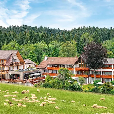 Grüner Wald Freudenstadt