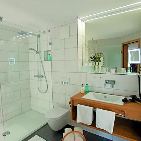 Hotel Grüner Wald 4*